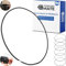 Universal rubber band for rubbish bin, 6 pieces, size XL, fits up to 60 litre individual inserts, compatible with WESCO rubbish bins, 80 cm elastic latex ring, trash can bands flexible