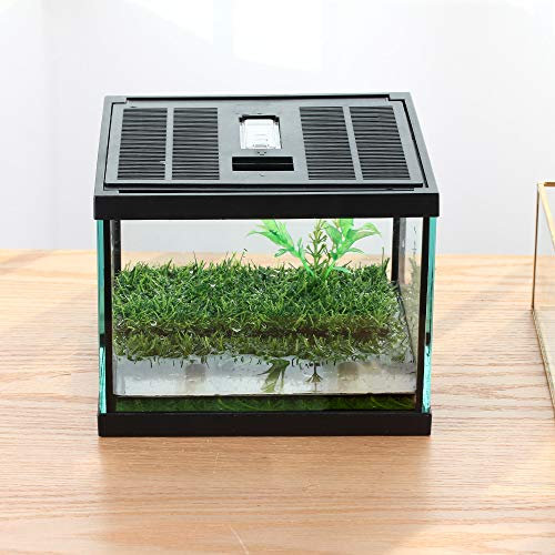 Crapelles Pac Frösche Glas-Terrarium, Wasserdicht, für kleine Amphibien, Insekten, Hornfrösche