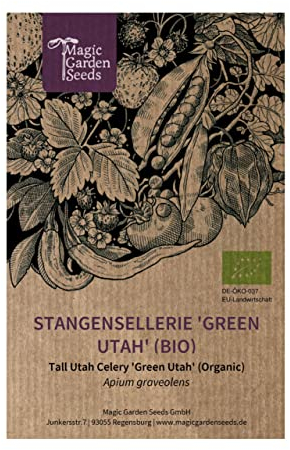 Stangensellerie 'Green Utah' (Apium graveolens) 200 Samen Staudensellerie Bleichsellerie