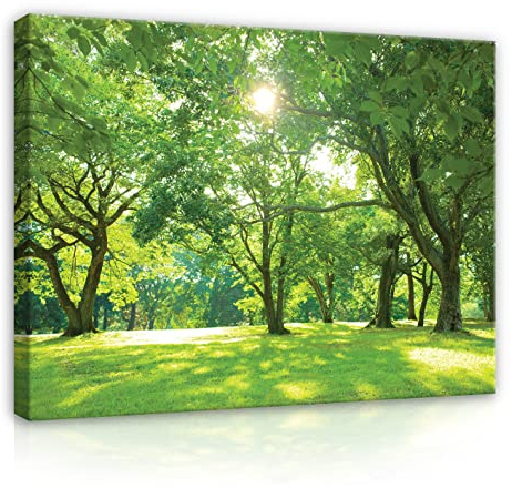 WallArena Leinwand Bilder - Bäume Grün Wiese Garten Natur Wald - 60x40 cm | Leinwandbilder, Bild auf leinwand, Wandbild XXL groß Wandbilder für Wohnzimmer Schlafzimmer Wohnzimmerbilder