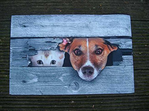 Deko-Impression Fußabstreifer, Hund Katze Fußmatte, Abtreter, Türmatte, 70 x 45 cm