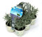 Lavanda (6 piante in vaso da 9 cm) lavandula angustifolia