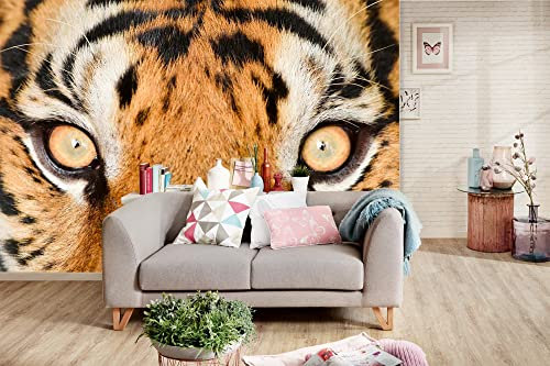 Mantiburi Papier peint photo non tissé Motif yeux de l'œil des yeux de l'œil de l'œil de l'œil de l'œil de la lumière 375 x 250 cm (avec colle)