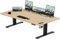 TRIUMPHKEY Höhenverstellbar Schreibtisch groß 200x80cm mit USB Ladeanschluss, 3 Memory-Steuerung Schreibtisch Höhenverstellbar Anti-Kollisions Höhenverstellbarer Tisch Computertisch