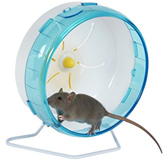 Pet Ting Premium Silent Spinners for Mice Hamster Gerbil Etc (22cm)