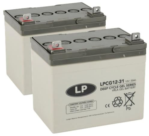 Bleigel Akku 2X 12V 30Ah kompatibel zu Rollstuhl E-Mobil Seniorenmobil u.a.