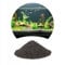 TD STONES Feiner Schwarzer Aquariensand – 0,5-1mm Körnung – Weicher Bodengrund für Süß- & Meerwasseraquarien, Schonend für Empfindliche Fische, Stabilisiert Ökosystem & Fördert Pflanzenwachstum – 8kg