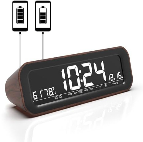 Fishtec - Radio réveil 5 Niveaux luminosité, 5 Sons Nature, 2 alarmes, Radio FM, température/humidité, 2 USB, ABS, 22x7x6 cm, 430 g, USB 145 cm, Pile CR2032, idéal Chambre