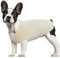 Hjumarayan Hundepullover Mittelgroße Hunde - Hundeshirt Dünn Hunde Pullover Sonnenschutz Tshirt Elastisch Hundepulli Gestreifte Shirt Pullis für Dackel Französische Bulldogge (Beige M)