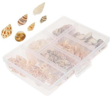 Homoyoyo Natürliche Muschelbox Conch-schnecken Für Aquarium Deko Diy Bastelset Für Strand-party Vasenfüllung Und Handgemachten Schmuck Vielseitige Meeresdekoration Für Zuhause