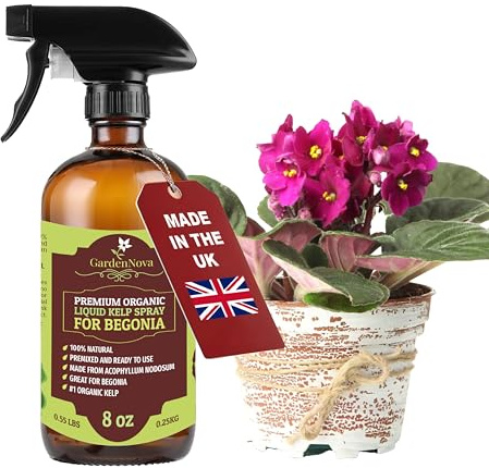 GARDENNOVA Professional Organic Liquid Kelp Spray for Begonia Plants - 8 oz - Ready-to-Use Fully Organic Seaweed & Kelp Fertilizer Mist
