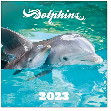 Grupo Erik Wandkalender 2023, Delfine, Kalender zum Aufhängen, Familienkalender, offizielle Lizenz, FSC zertifiziert, CP23004