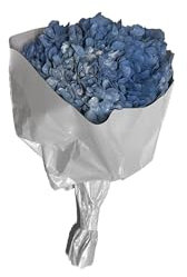 Pandecor Mazzo di Ortensie stabilizzate Colore Celeste Polvere d.20cm