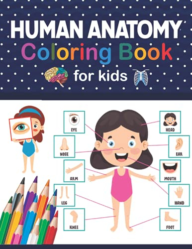 Human Anatomy Coloring Book For Kids: This Coloring Book is Very Helpful For Learning Anatomy.Unique and Fun Way to Learn Human Anatomy. Human Brain ... Coloring Book for Toddlers & Preschoolers.