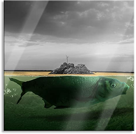 Pixxprint Glasbild, Wandbild auf Echtglas, Abstrakter Fisch mit Felsrücken B&W Detail, 70x70 cm, inkl. Aufhängung und Abstandshalter