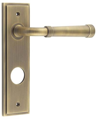 Antique Brass Bathroom Door Handle with Backplate - Luxury Design - Solid Brass Interior Handle