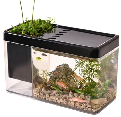 Small Aquarium - Small Aquarium, Transparent Fish Tank Desktop Fish Bowl | Small Aquarium Pen Holder for Shrimp, Betta Fish and Small Crab Shrimp, Snails