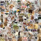 APAREAL Katze MEME Sticker 100 Stück, Graffiti Lustig Aufkleber für Laptop Kindle Motorrad MacBook Journal Scrapbook Fahrrad Skateboard Koffer, Wasserfeste Vinyl Decals für Teenager und Erwachsene