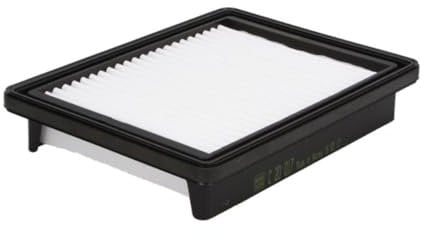 MANN-FILTER C 20 017 Filtro dell'aria - per Autovetture + veicoli commeriali