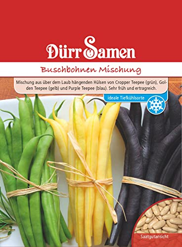 Buschbohnen Samen Mischung Bohnensamen Grüne Gelbe Blaue Bohnen ca 100 Korn Saatgut Gemüse Garten Hochbeet Kübel Dürr Samen