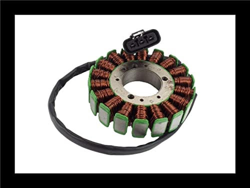 TERAM LOISIRS Stator Zündung Lichtmaschine für Yamaha YZF R1 2002 und 2003