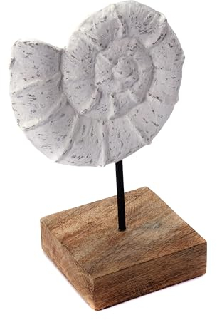 CREEDWOOD Muschel SKULPTUR Shell | Mangoholz, 24cm, weiß | Muschel Dekofigur, Maritime Standfigur, Meeresdeko, Bad Deko Aufsteller