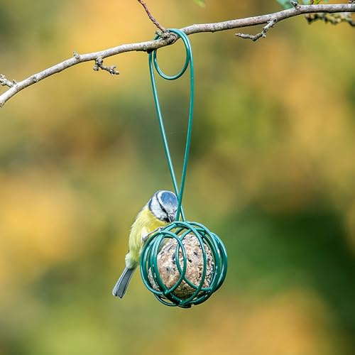 CJ Wildlife Meisenknödelhalter – Meisenknödel Halter – Metall Grün – Futtersystem für Wildvögel – Hygienisch, ohne Berührung