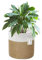NATTHSWE Pot de Fleurs de avec Doublure, Panier à Plantes d'intérieur en Tissu pour Pots à Fleurs de 18cm Corde de Coton Jute Pot à Plantes Décoration de la Maison