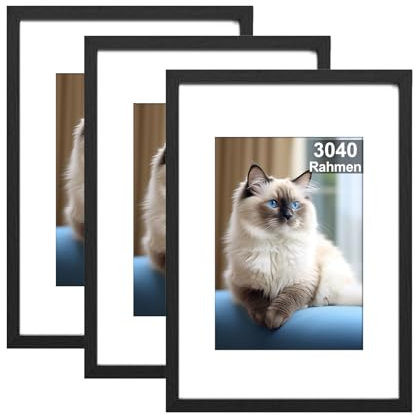 RUN HELIX 3 Pack Bilderrahmen 30x40, 30x40cm Bilderrahmen Schwarz, Aufhängbar, Posterrahmen für Wohnzimmer, Schlafzimmer, Arbeitszimmer