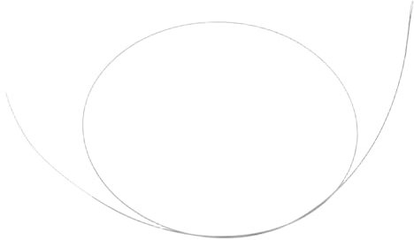 Toyvian Professionelle Yangqin Saiten Silberbeschichtet Ersatzsaiten Für Traditionelle Harfen Instrumente Performance Klangverbesserung Langlebig Vielseitig Für Konzert Und Übung