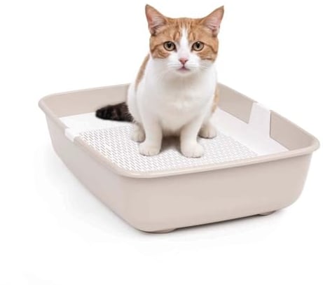 Schalentoilette Katzentoilette mit Reinigungssieb Katzenklo Groß Beige