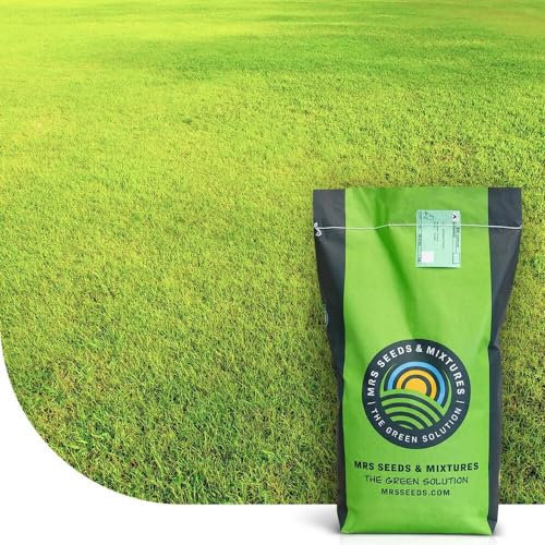 Dry & Strong: Gazon terrain sec | 15 kg - 750 m² | semences de gazon | Résiste à la chaleur et à la sécheresse | Pour les gazons de détente et d’ornement | Économique en arrosage