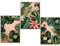 GrowArt - Poster 3 feuilles vertes sur fond rose au format A3 sans cadre | impression photo de haute qualité | décoration murale exceptionnelle pour les amoureux de la nature