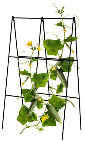 Panacea 83831 Small Space Compact, Folding A-Frame Cucumber Trellis Raised-Garden-Kits, 12 in. W x 39.5 in H, Black