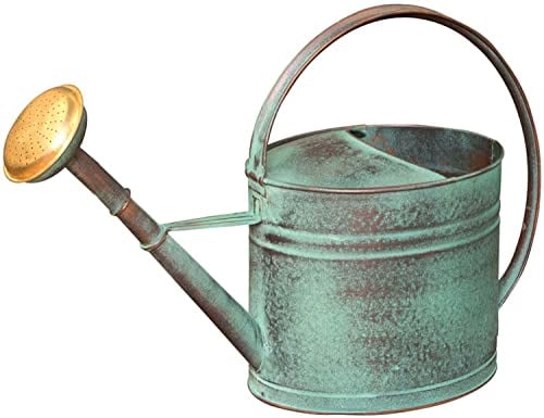 Regadera verde de 4 litros + cabezal de riego de latón
