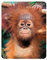 Deluxebase 3D LiveLife Imán - Bebé orangután Imán de Nevera lenticular 3D con diseño de Mono. Adorno magnético para niños y Adultos Estampado con ilustración del reconocido Artista David Penfound