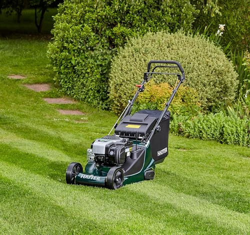 Hayter Harrier 41 Lawnmower Petrol Variable Speed Rear Roller Lawnmower 41cm (375A) + Free Hayter Mower Cover