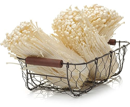 500 Pcs Enoki Pilze Samen, Enoki Mushroom, Inoki Pilze Pilze Selber Züchten Gemüsesamen, Champignons Selber Züchten, Pilze Zum Selber Züchten Pilze Züchten Exotische Samen, Wintergemüse