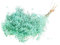 FloristryWarehouse Dried Bunch of Pastel Broom Bloom 40cm/15 Inches Aqua Blue