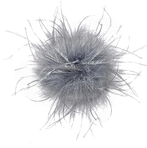Feder Brosche für Frauen Mädchen,Mode Vintage Natürliche Flauschige Straußenfeder Brosche Braut Hochzeit Party Weihnachten Kleid Up Corsage Pin Hut Zubehör für Anzug Hüte zum Hochzeit Bankett Party