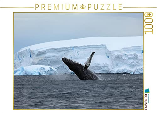 CALVENDO Puzzle EIN Motiv aus dem Kalender Die Antarktis/CH-Version | 1000 Teile Lege-Größe 64 x 48 cm Foto-Puzzle für glückliche Stunden