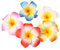 10 Pièce 7 cm Plage de Fleurs Hawaïenne Hawaii Barrette Pince à Cheveux Mariage