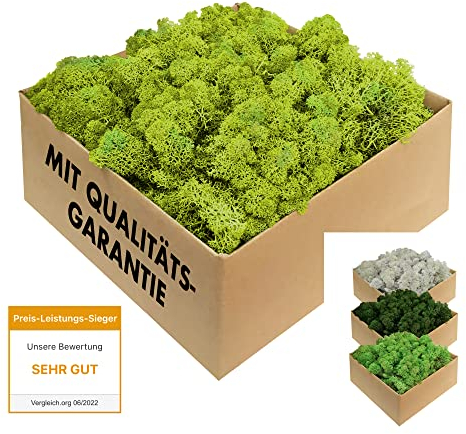 GJS Islandmoos - konserviertes Moos in 200g/500g/1kg/4kg für Moosbilder, als Deko oder zum Basteln (hellgrün, 200g)