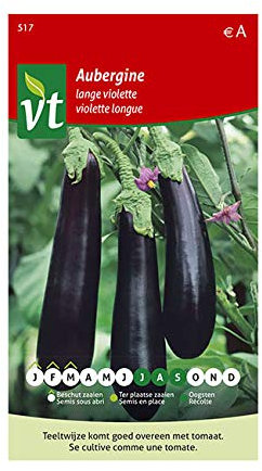 Aubergine Violette longue Graines - Couleur violette magnifique