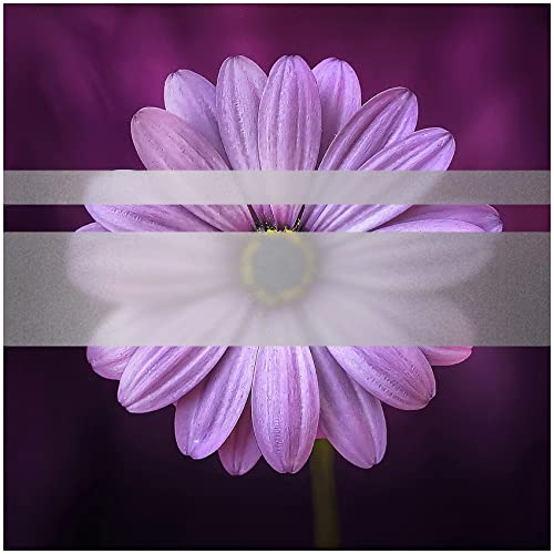 Milchglasfolie 8510 Etched Glass fein Frosted Folie Sichtschutz Bastelfolie Selbstklebend Plotterfolie Plottfolie Fenster Glas (100 cm (Meterware), Silber)