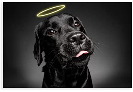 MOIT Leinwand-Poster, Labrador, frecher Engel, Schlafzimmer, Dekoration, Sport, Landschaft, Büro, Raumdekoration, Geschenk, ohne Rahmen, 30 x 45 cm