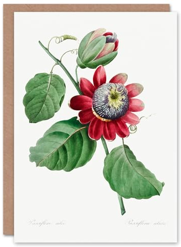 Artery8 Pierre-Joseph Redouté Art Card Vintage Passion Flower Illustration