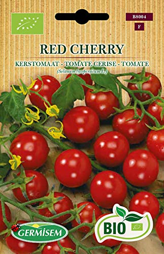 Germisem Bio Graines Tomate cerise RED CHERRY ECBIO8004