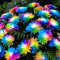 AchidistviQ 100 Stücke Regenbogen Chrysantheme Seltene Bunte Chrysantheme Blume Bonsai Pflanze DIY Büro Hausgarten Hof Blumendekor Samen der Regenbogen-Chrysantheme