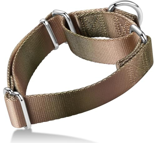 Axdvk Martingale-Halsband für Hunde – Bunter Farbverlauf, Modisches Design & Ausbruchsicher – Weich & Langlebig – Für Spaziergänge, Training, Outdoor und Alltag, L,Khaki Verlauf Verlauf